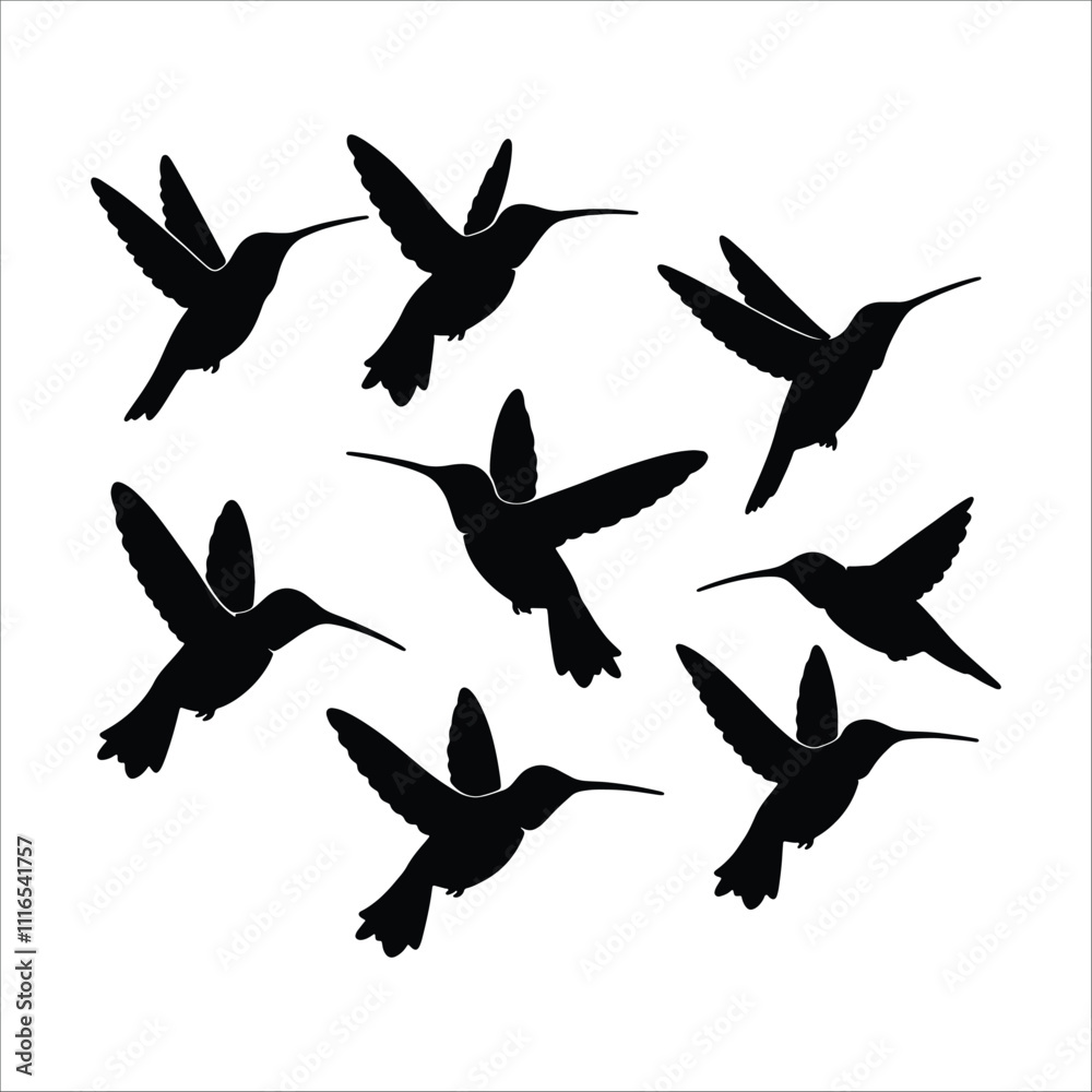 Obraz premium Silhouette of a Bird