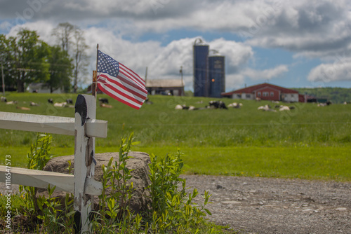 Farm and flag, Dryden, N.Y. photo