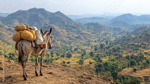 A donkey carrying supplies across a rural landscape