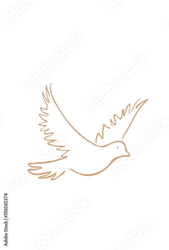 White dove flying. Holy spirit vector illustration and sketch, line art for coloring and mass booklet. White dove to represent peace, god, holy spirit, freedom, peace, love, and faith.