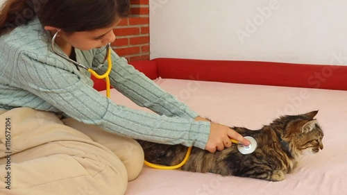 A child listens to the heartbeat of a cat on the sofa.