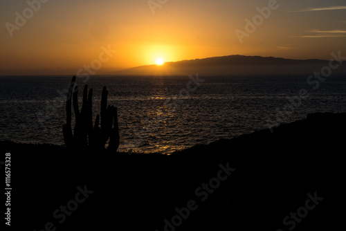 Sunset over Gomera, Canary islands, with cactus on foreground and the island in the background