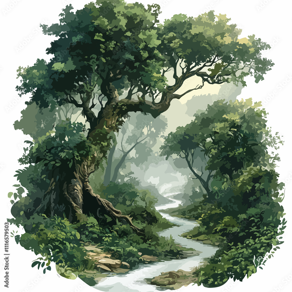 Fototapeta premium Enchanting Ancient Trees in Dense Misty Forest