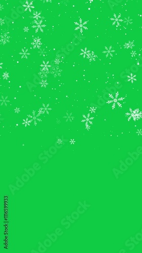 Wallpaper Mural snow flakes falling on green background animation ,white snowfall christmas and new year isolated winter vertical motion design element Torontodigital.ca