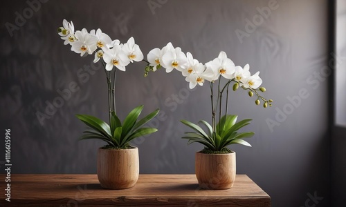Wallpaper Mural Single white orchid stem on a wooden pedestal, plant displays, orchid arrangements, botanical centerpieces Torontodigital.ca