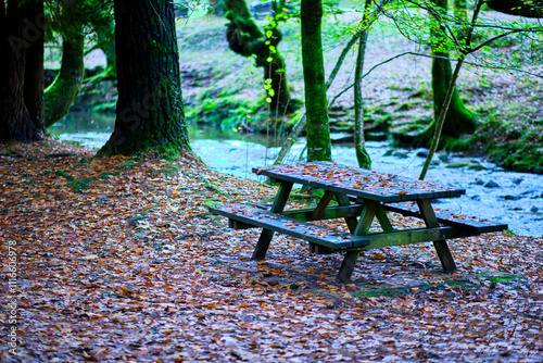 Picnic table by Bayones River in Ucieda forest, Cabuerniga Valley, Spain photo