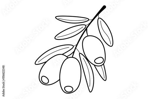 Doodle illustration of a branch with olives