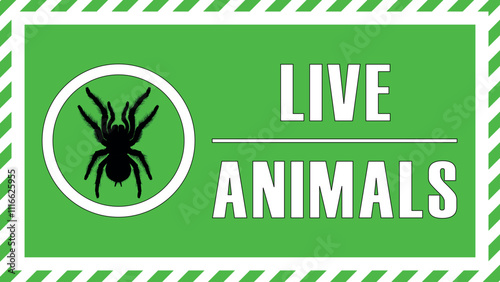 Green live animal labels for cardboard, packing with tarantula spider symbol. Live animal sticker with information text for courier and supplier animals transportation illustration graphic design