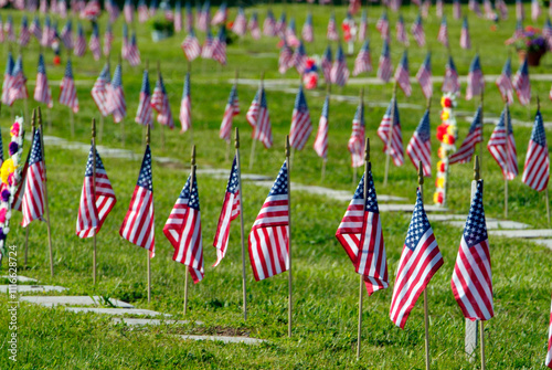Фотография american flags cemetary
