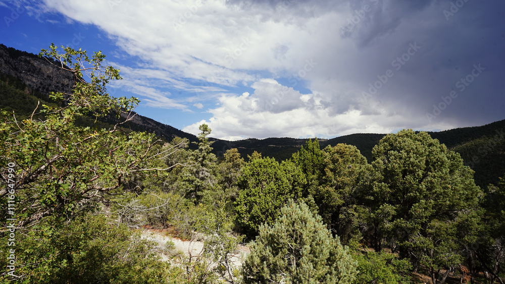 Lee Canyon Summer Home Area in Nevada Lee Canyon Summer Home Area in Nevada