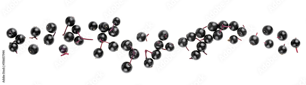 Fresh berries of Sambucus isolated on a white background, top view. European black elderberry. Fresh berries of Sambucus isolated on a white background, top view. European black elderberry.