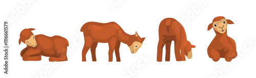 Little Brown Lamb Animal with Hoof Vector Set