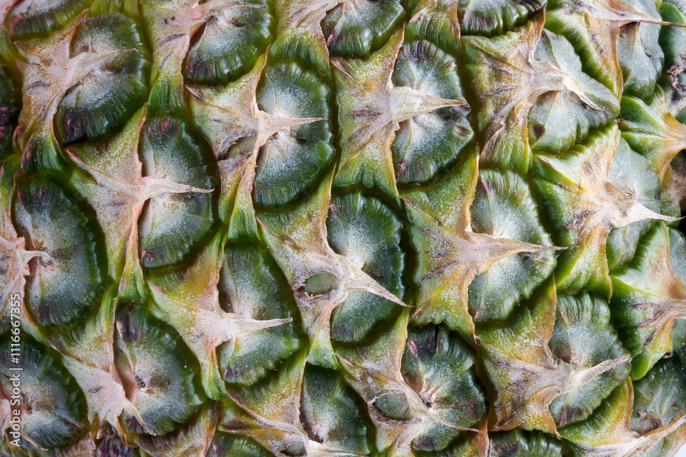 Pineapple, a sweet and juicy tropical fruit
Pineapple, a sweet and juicy tropical fruit