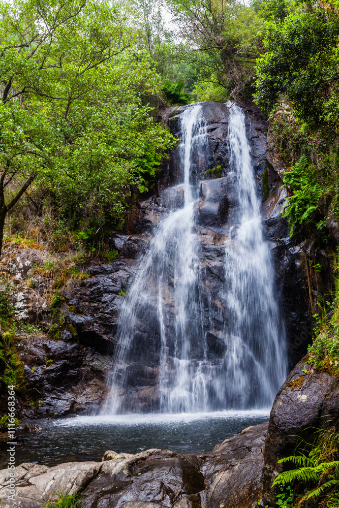 Fototapeta premium A cascading waterfall surrounded by lush greenery, with a small pool at the base