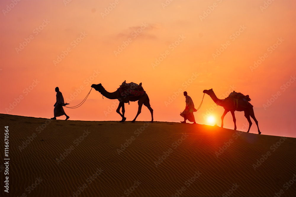 Fototapeta premium Indian cameleers camel drivers bedouin with camel silhouettes in sand dunes of Thar desert on sunset. Caravan in Rajasthan travel tourism background safari adventure. Jaisalmer, Rajasthan, India