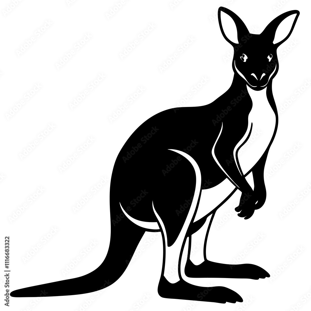 Kangaroo silhouette vector illustration on white background Kangaroo silhouette vector illustration on white background