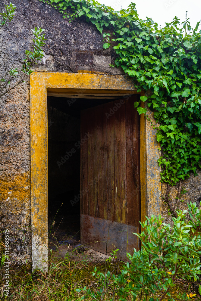 A weathered wooden door with a yellow frame, partially open to reveal a dark interior. The door is surrounded by lush greenery and moss-covered stone walls A weathered wooden door with a yellow frame, partially open to reveal a dark interior. The door is surrounded by lush greenery and moss-covered stone walls