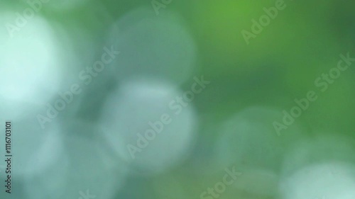 The bokeh circles from light shining through the leaves of trees on rainly time, natural green bokeh blurred background, Nature abstract background, nature green bokeh. 4K video footage photo