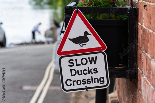 A small road sign says: 'Slow Ducks Crossing', warning motorists to be mindful of the local wildlife in Upper Arley, Worcestersire, UK. photo