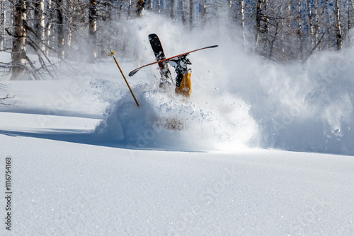 Ski wreck head plant photo