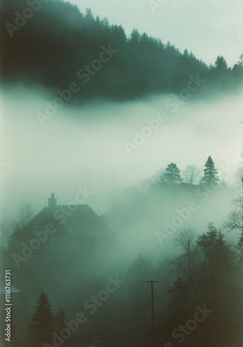 Photo d'un paysage de forêt enveloppée dans la brume, offrant une atmosphère paisible photo