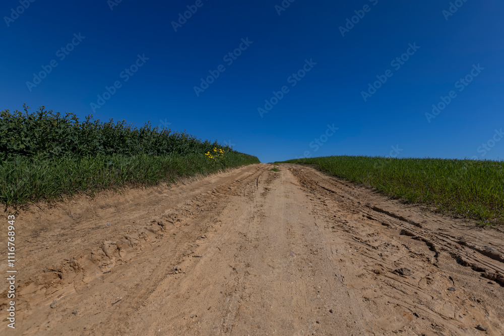 Naklejka premium part of the road in the field for agricultural transport