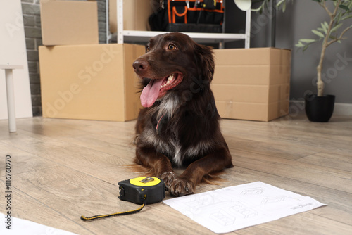 Cute dog with tape measure ...