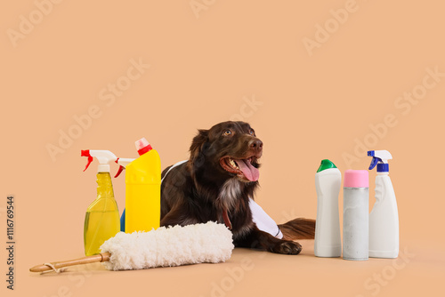 Cute dog with cleaning supp...