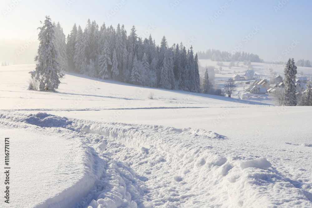 Fairy-tale views of snow-covered meadows and forests in the mountains. Fairy-tale views of snow-covered meadows and forests in the mountains.