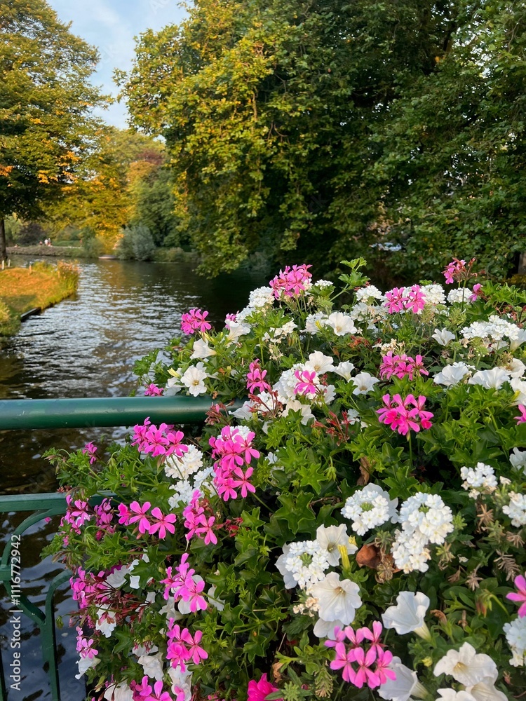 Fototapeta premium Beautiful flowers on bridge over canal in park
