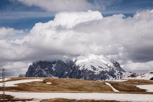 Nature and landscape - Alpe di Siusi, Dolomites, Italy.