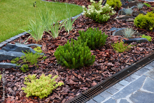 Canvas Print Creating Beautiful Landscaping Features with Colorful Mulch and Lush Greenery in