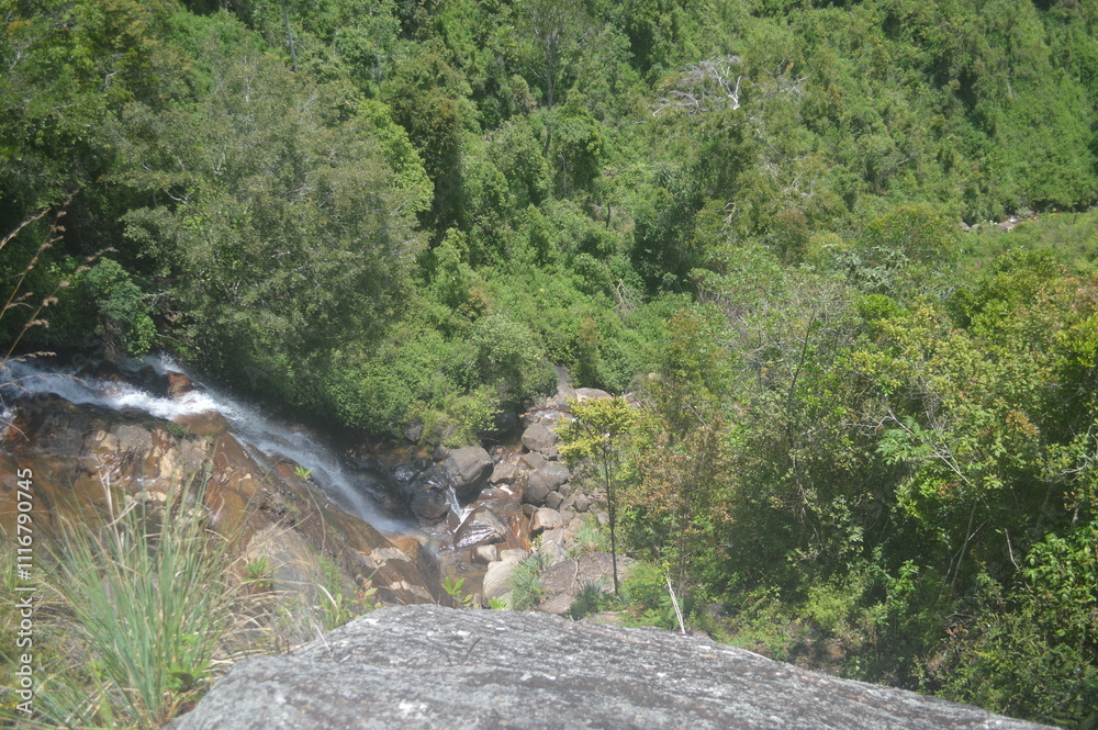 mountain river in the mountains