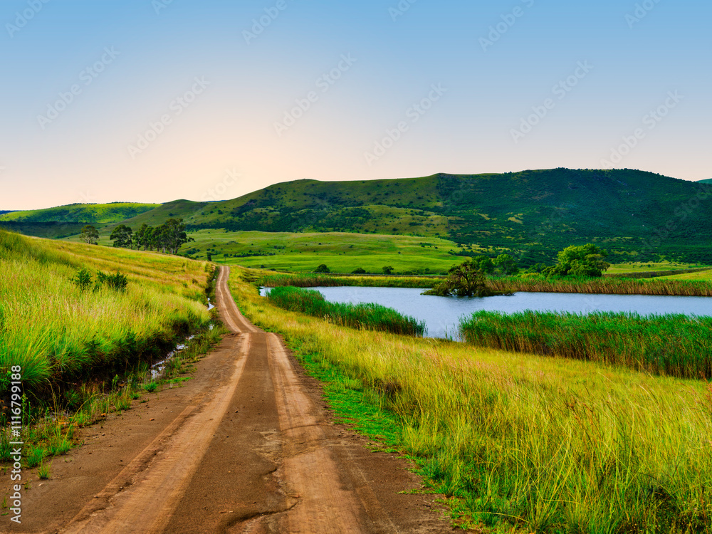 Grassland valley on the lakeside with a winding 4x4 dirt road, surrounded by lush hills, Wakkerstroom, Mpumalanga, South Africa