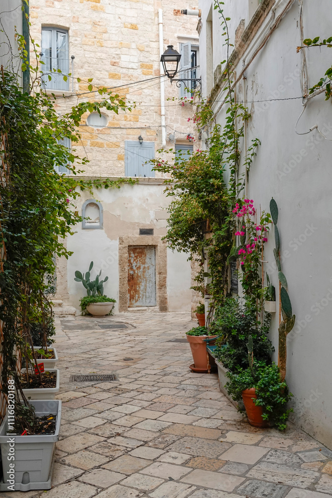 Fototapeta premium Gasse in Polignano a Mare, Apulien