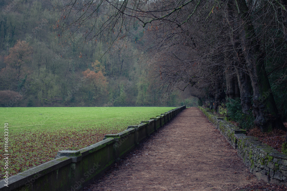 Obraz premium path in the forest in England