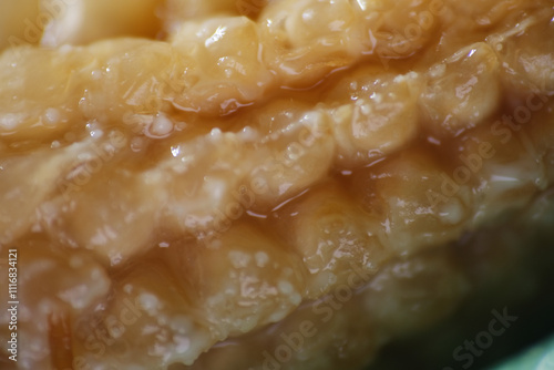 Macro texture of rotten baby corn kept in fridge more than month.  photo