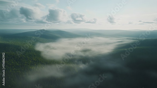 A serene landscape with mist over rolling hills and dense forests under a cloudy sky.