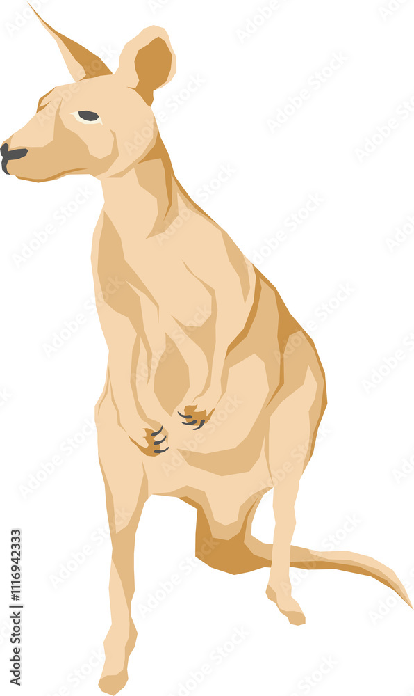 Animal Illustration Animal Illustration