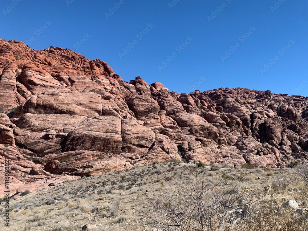red rock canyon red rock canyon