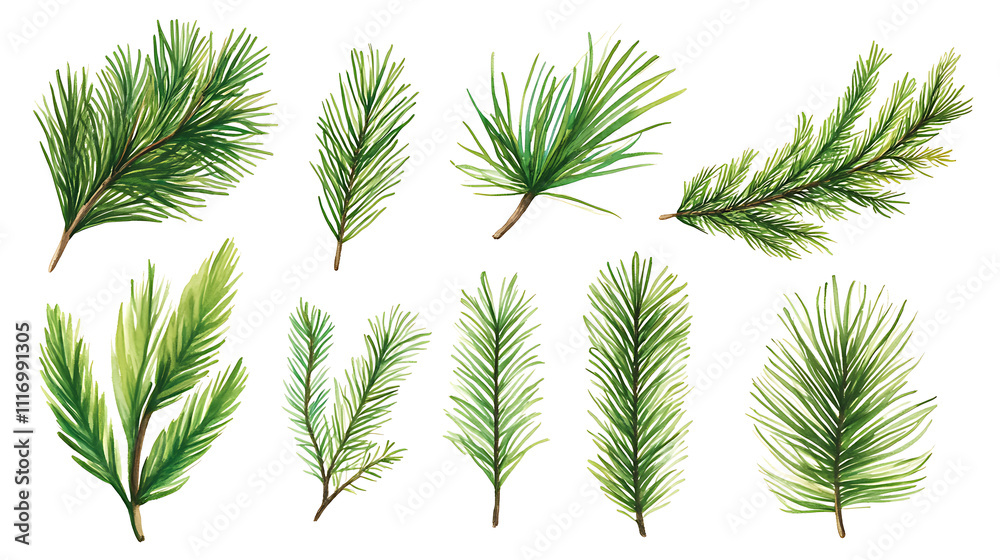 A collection of vibrant green pine branches, showcasing various shapes and textures, perfect for festive designs or nature-themed projects. A collection of vibrant green pine branches, showcasing various shapes and textures, perfect for festive designs or nature-themed projects.