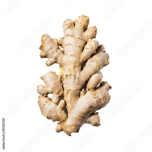 Multiple ginger roots gathered together on a transparent background, emphasizing their natural texture and earthy appearance. photo