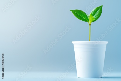Growing green new plant sprouting in white pot indoor space minimalist style fresh start concept