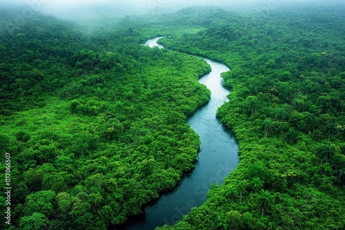 Aerial View of Lush Tropical Rainforest with Winding River in Brazil