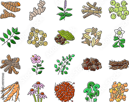 ayurvedic herbs medicine health icons set vector. nature ayurveda, mortar neem, basil, science plant, leaf, organic spices, care, cure ayurvedic herbs medicine health color line illustrations