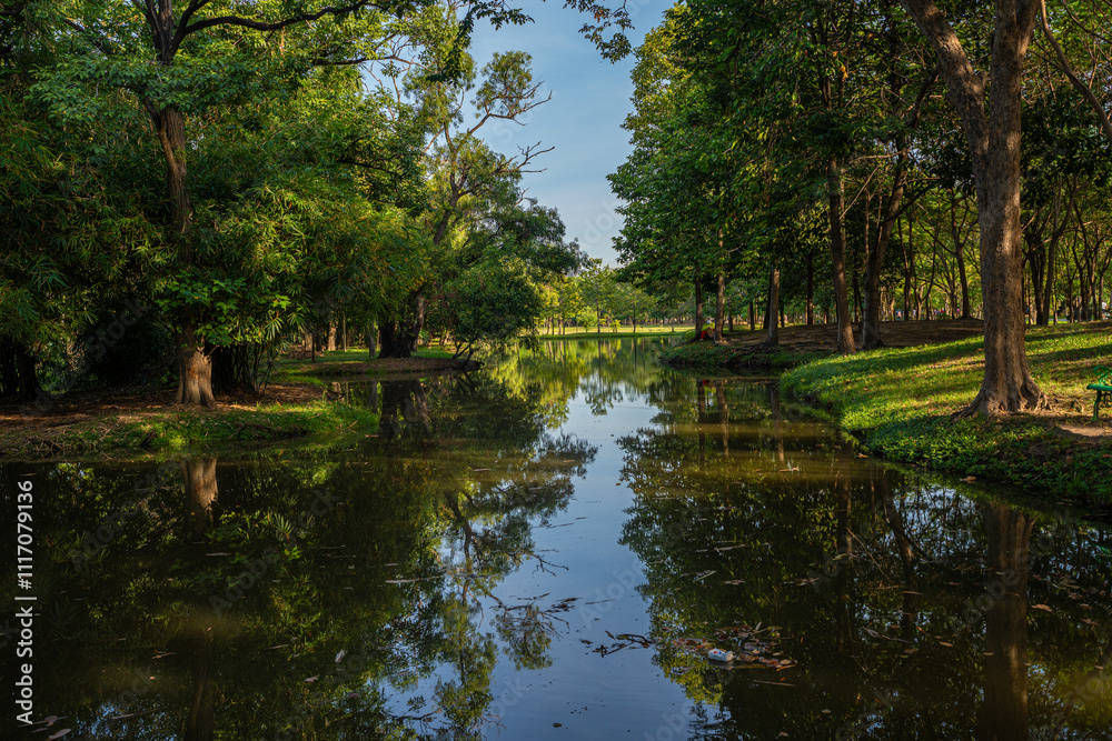 Green tropical forest city park pond sun light sunny sky Green tropical forest city park pond sun light sunny sky