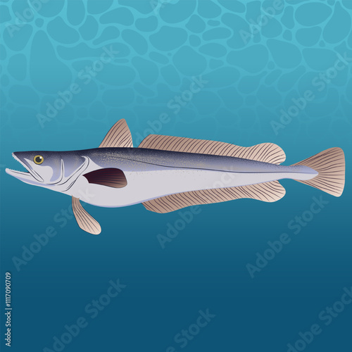 Merluccius Paradoxus Fish