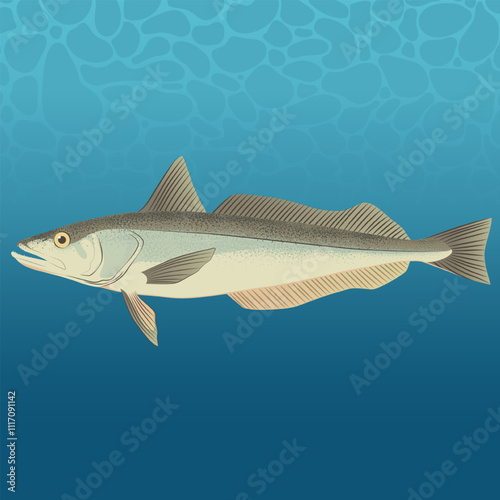 North Pacific Hake Fish