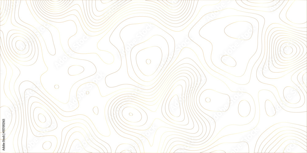 Abstract white golden gradient Topographic line map pattern background. Contour elevation topographic and textured Background Modern design with White background with topographic wavy patte. Abstract white golden gradient Topographic line map pattern background. Contour elevation topographic and textured Background Modern design with White background with topographic wavy patte.