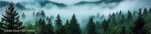 A breathtaking panoramic view of a pine forest nestled in the mountains.